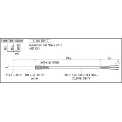 PTS-1B-6X050-A01 TEMP. SENS. PT100B, Ø6x50MM, AISI304